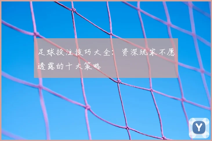 足球投注技巧大全:资深玩家不愿透露的十大策略