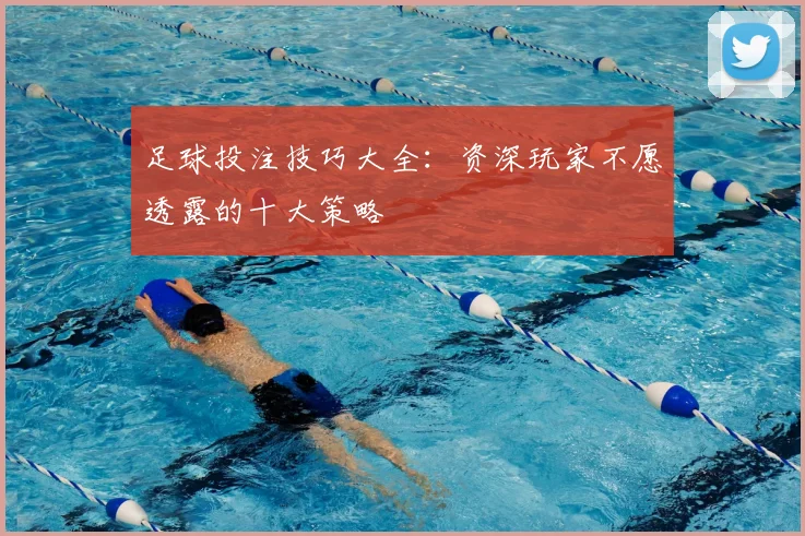 足球投注技巧大全:资深玩家不愿透露的十大策略